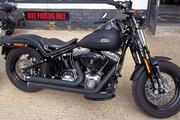 Picture 2 - Harley-Davidson FLSTSB Crossbones motorbike