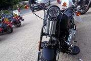 Picture 5 - Harley-Davidson FLSTSB Crossbones motorbike