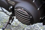 Picture 9 - Harley-Davidson Sportster XL1200X 