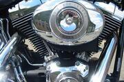 Picture 4 - Harley-Davidson FXSTC Softail Custom in Black Pearl Feat 1584cc Engine motorbike
