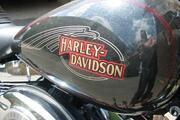 Picture 5 - Harley-Davidson FXSTC Softail Custom in Black Pearl Feat 1584cc Engine motorbike