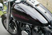 Picture 8 - 2001 Harley-Davidson Softail FLSTF 1450 Fat Boy motorbike