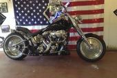 Harley-Davidson FAT BOY FLSTF SPORTS CUSTOM THE ULTIMATE SKULL MACHINE TWIN CAM for sale