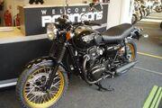 Picture 5 - Kawasaki W800 SE, Stunning Looking Special Edition motorbike