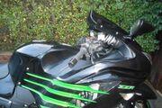 Picture 4 - Kawasaki ZZR1400 SE Limited Edition motorbike