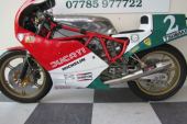 Ducati F1 RACE BIKE for sale