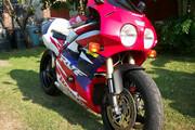 Picture 4 - RC45 Honda motorbike