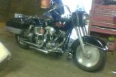 harley davidson collection for sale for sale