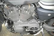 Picture 10 - Harley-Davidson XR 1200 X Sportster motorbike