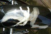 Picture 4 - 2009 DNA Chopper DNA Speciality motorbike