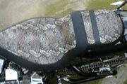 Picture 7 - 2009 DNA Chopper DNA Speciality motorbike