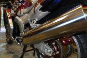 Picture 5 - Honda CBR1100XX Blackbird Show Bike 723 km Only motorbike
