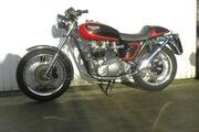 Picture 4 - Triumph TR6R Special 1981 744cc Morgo Conversion motorbike