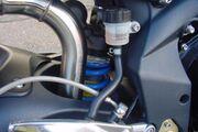Picture 3 - Triumph Street Triple R 675 2009 FSH Very Clean motorbike