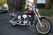 1999 Harley-Davidson FXDWG TWIN CAM DYNA WIDEGLIDE -  RED/Black. for sale