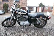 Picture 2 - Harley-Davidson XL1200R Sportster Black & Cream, 1 Keeper, 3118 Miles motorbike