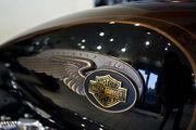 Picture 4 - Harley-Davidson 1200 Sportster Custom 110th Anniversary Edition motorbike