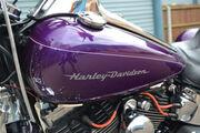 Picture 11 - Harley-Davidson FXSTD Softail Deuce motorbike
