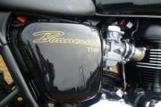 Picture 2 - Triumph Bonneville T100 A3 2014, Black/Gold motorbike