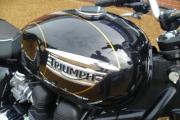 Picture 4 - Triumph Bonneville T100 A3 2014, Black/Gold motorbike