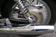 Picture 11 - Moto Guzzi California Special Sport 2003 Black&Gold Superb motorbike