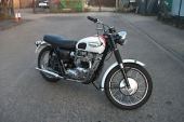 Triumph Bonnieville T120R 1966 white/red. lovely freshly restored example T 120 for sale