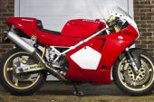 Ducati 888 SP4 Superbike 1992 low miles pampered bike perhaps the quickest 888 for sale