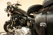 Picture 10 - Harley-Davidson Softail FLSTSB Crossbones 2009 1584cc motorbike