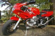 Picture 11 - Moto Guzzi 1100 Sport motorbike