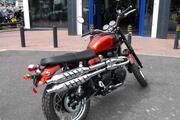 Picture 7 - 2013 Triumph Scrambler motorbike