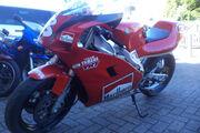 Picture 6 - Yamaha TZR 250 3MA SP2 motorbike