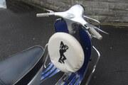 Picture 4 - Vespa Douglas motorbike