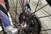 Picture 11 - New 2014 Gas Gas 250cc Factory Raga Replica Trials Bike motorbike