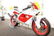 Picture 2 - Gilera Saturno Piuma Corsa, Brand New, 0 Miles, No. 32 of 50, Ultra Rare motorbike