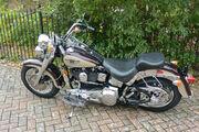 Picture 4 - Harley-Davidson Fat Boy 1998. 95th Anniversary Model. 1340 cc Evolution Engine motorbike