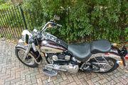 Picture 10 - Harley-Davidson Fat Boy 1998. 95th Anniversary Model. 1340 cc Evolution Engine motorbike