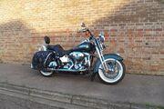 Picture 3 - Harley-Davidson Springer, Immaculate Condition motorbike