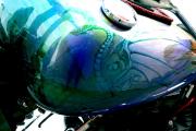 Picture 5 - Harley-Davidson 1690cc Screamin Eagle powered Wizard Hog motorbike