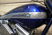 Picture 11 - Harley-Davidson Softail Battistinis Custom Arlen Ness Awesome Chopper motorbike