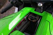 Picture 7 - Kawasaki ZX10R 30th Anniversary motorbike