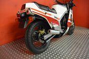 Picture 8 - Suzuki RG 500 classic 1987 Very rare collectors bike in very good condition motorbike