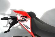 Picture 9 - Aprilia RSV4 Factory SBK Replica motorbike
