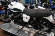 Picture 7 - Triumph Bonneville T100 T214 limited edition in stock now motorbike