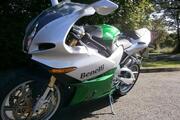 Picture 8 - Benelli Tornado 900, 2006/06, Green, 4200 Miles motorbike
