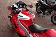 Picture 3 - Bimota YB11 Classic Motorcycle motorbike