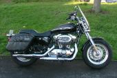 Harley-Davidson XL 1200 C CUSTOM SPORTSTER with panniers and screen for sale