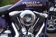 Picture 2 - Harley-Davidson FLSTCI Heritage Softail one-off custom motorbike