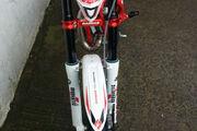 Picture 6 - Gas Gas TXT PRO Racing 250 30th Anniversary red and white brand new motorbike