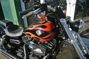 Picture 7 - Harley-Davidson FXDWG Dyna Wide Glide Only 2400 Miles Stacked With Extras motorbike