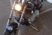 Picture 2 - 2003 Harley-Davidson Softail standard (very good condition) 100th anniversary motorbike